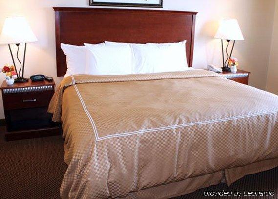 Comfort Suites Wixom Zimmer foto